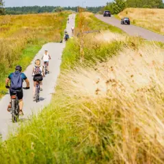 Ludzie na rowerach przemierzają malownicze mazury trasy rowerowe, otoczeni złotymi polami.