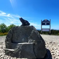 Żaba na skale podziwia skrzyczne widoki. Tablica informuje o wysokości 1257 m n.p.m.