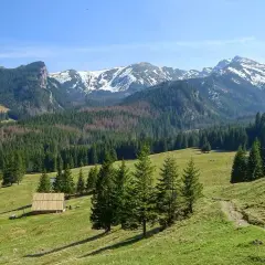 Zielona dolina, las i ośnieżone szczyty. Gdzie w Tatry? Tuż za drewnianą chatką, ścieżka prowadzi w głąb gór.