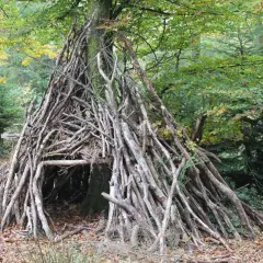 Schronienie w lesie zbudowane z gałęzi, przypominające wigwam. Dzieci mogłyby tu bawić się w budowanie własnych kryjówek.