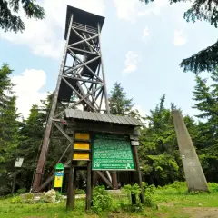 Drewniana wieża widokowa na radziejowa szczyt wśród zielonych drzew. Obok tablica informacyjna i betonowy obelisk.