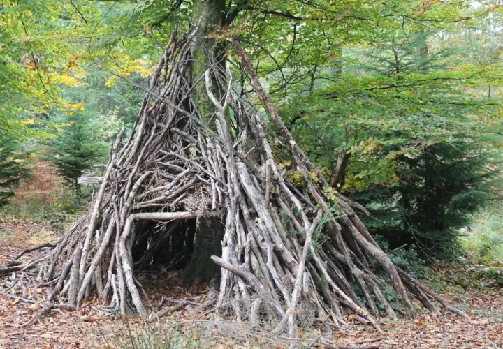 Schronienie w lesie zbudowane z gałęzi, przypominające wigwam. Dzieci mogłyby tu bawić się w budowanie własnych kryjówek.