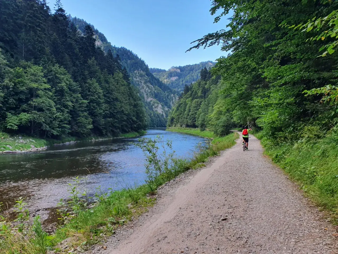 Rowerzysta przemierza malowniczą trasę Velo Dunajec w Szczawnicy, otoczony zielonymi lasami i spokojną rzeką.