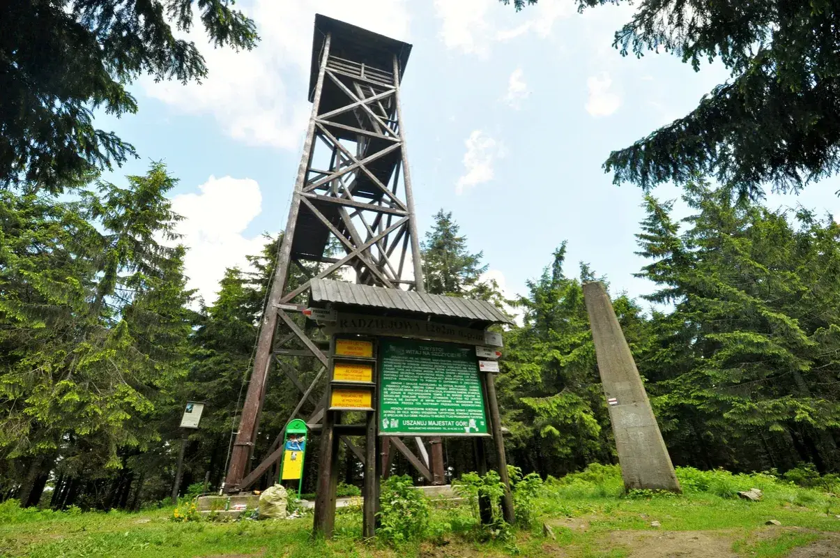 Drewniana wieża widokowa na radziejowa szczyt wśród zielonych drzew. Obok tablica informacyjna i betonowy obelisk.