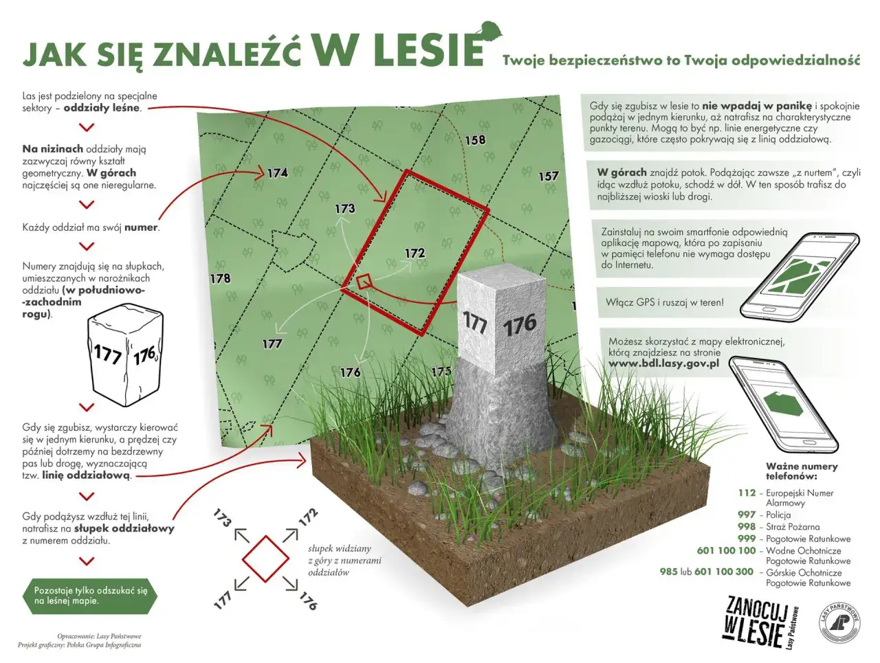 Jak się znaleźć w lesie? Mapa oddziałów leśnych, słupki z numerami i aplikacja pomogą Ci bezpiecznie zanocuj w lesie.